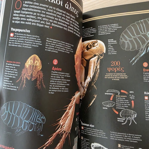 Atlas of Sciences: Invertebrates book like new