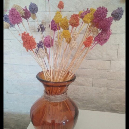Vase with dried plants