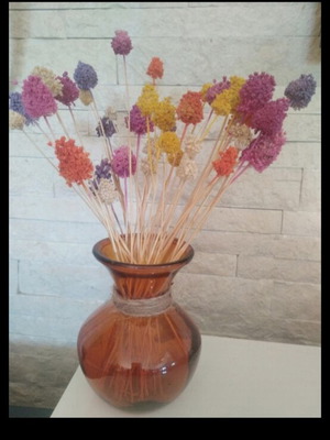 Vase with dried plants