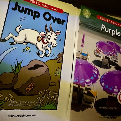 Reading A-Z (Raz-Kids) Level aa like new, complete set of 82 books