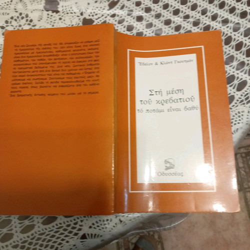 Pack of two books like new, Life Is Elsewhere and The River Is Deep in the Middle of the Bed