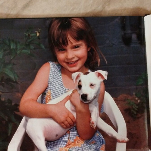 Children's book about dog breeds used, in English