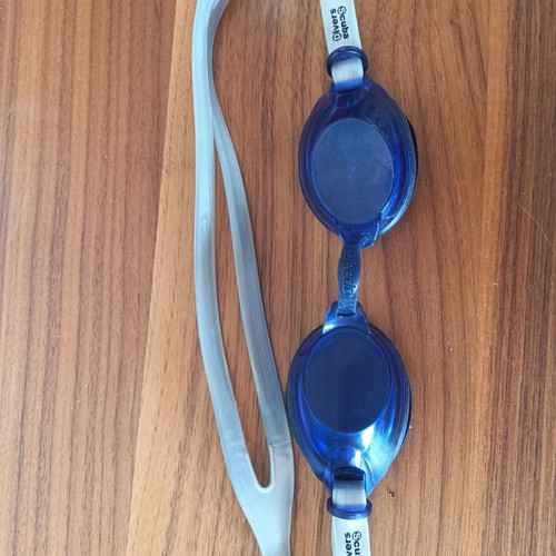 Swimming goggles with protective case