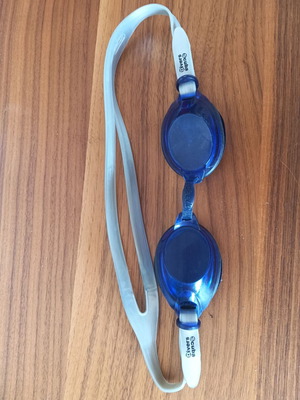 Swimming goggles with protective case