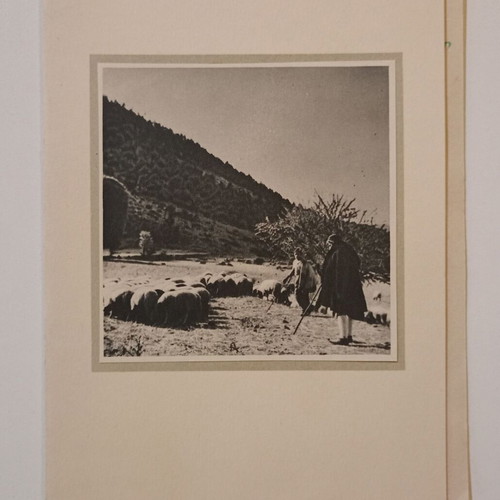 Greeting card for happy holidays 1953, used, Theo edition