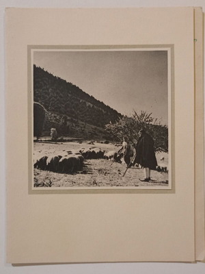 Ευχετήρια κάρτα για καλές γιορτές 1953, μεταχειρισμένη, έκδοση Theo