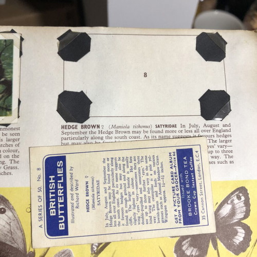Brooke Bond Album and Cards used, complete British Butterflies set of 50