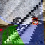 Πετσέτα θαλάσσης Mickey μεταχειρισμένη, βαμβακερή, 71x140 εκ, αμυδρά ξεθωριασμένη