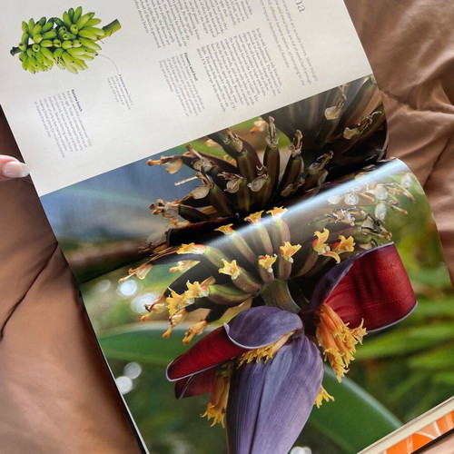 The Science of Plants book new, coffee table, English