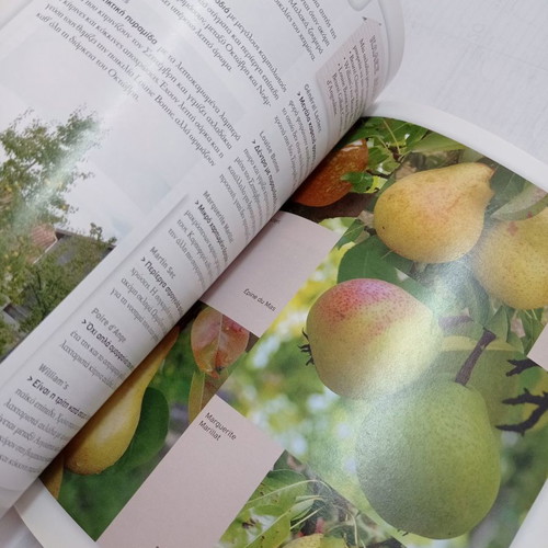 Book Gardening for Everyone Fruits in the Garden & on My Balcony used