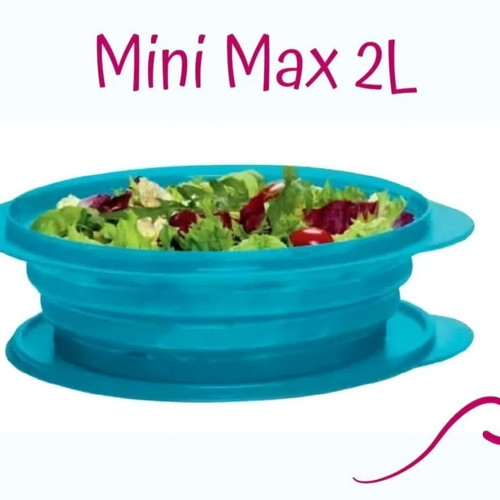 Mini Max 2L container new, flexible and durable