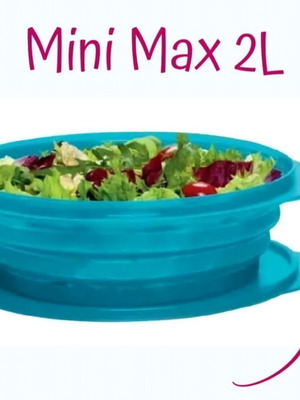 Mini Max 2L container new, flexible and durable