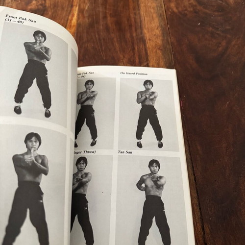 The Breaking Power of Wing Chun book used, rare