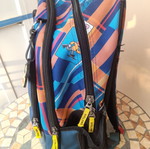 Paul Frank school backpack with multiple compartments
