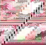  ΝΕΠΑΛ - 5 Rupees 2020 - UNC