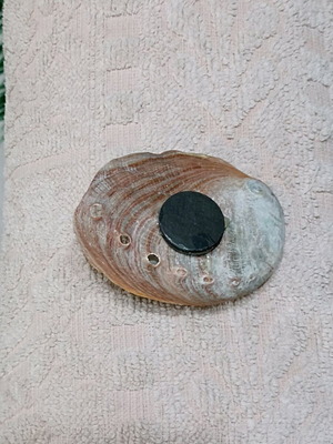 Abalone shell decorative fridge magnet