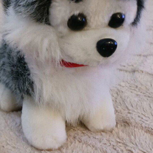 Plush toy new