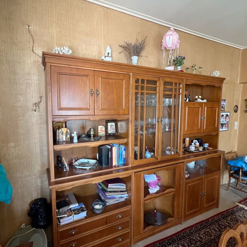 Living room unit used with display cabinet and storage space