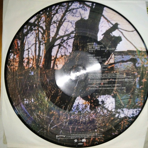 Black Sabbath Picture Disc vinyl used, metal