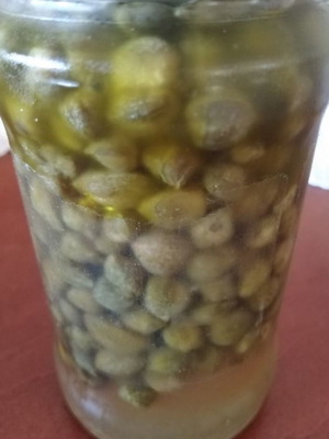 Capers 1 kilo organic