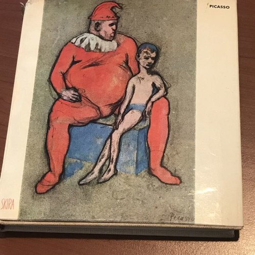 Picasso art book used, collectible French edition 1953 Skira