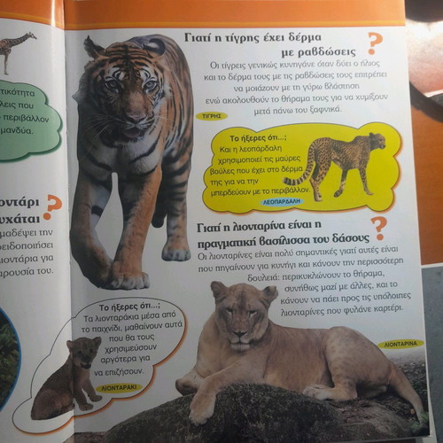 The Why of Animals My First Book new