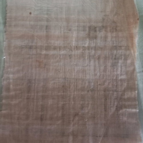 Papyrus from Egypt used