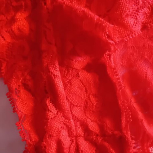 Brazilian lace red panties