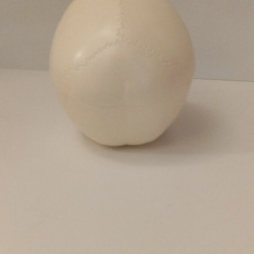 Skeleton head with half brain new