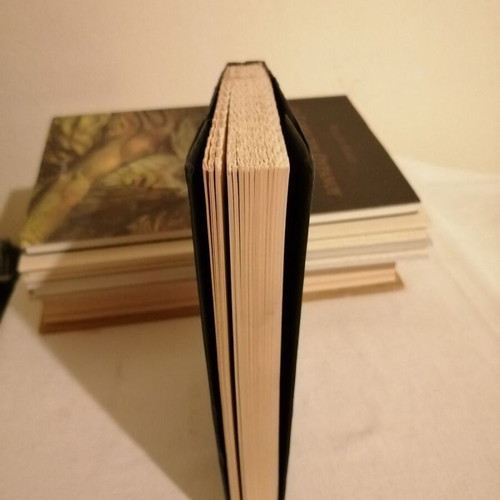 The Turn of the Screw like new, Henry James