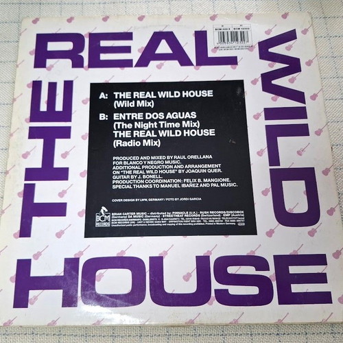 Raul Orellana The Real Wild House 12' vinyl used, electronic