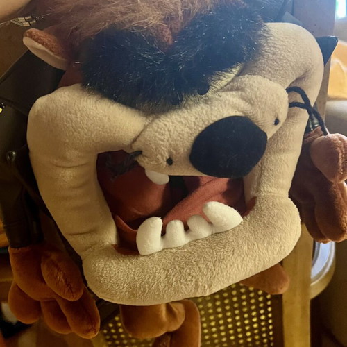 Tasmanian Devil kids backpack Looney Tunes like new