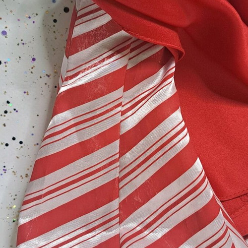 Barbie Holiday 2019 in original outfit with dress flaws