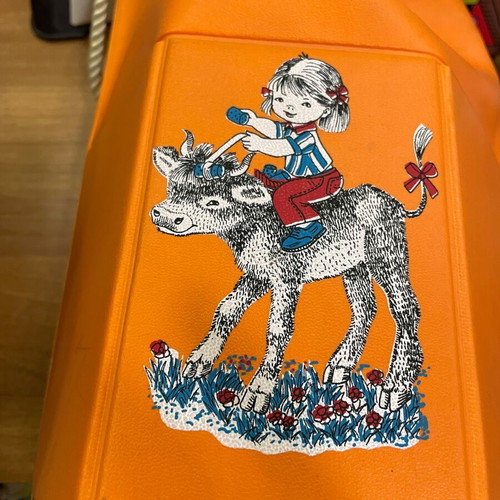 Backpack bags unused, multicolored