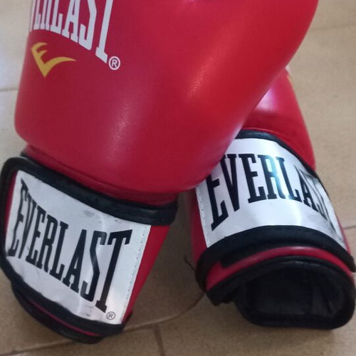 Everlast Ergo Moulded Foam Training Gloves 8oz used, red and black