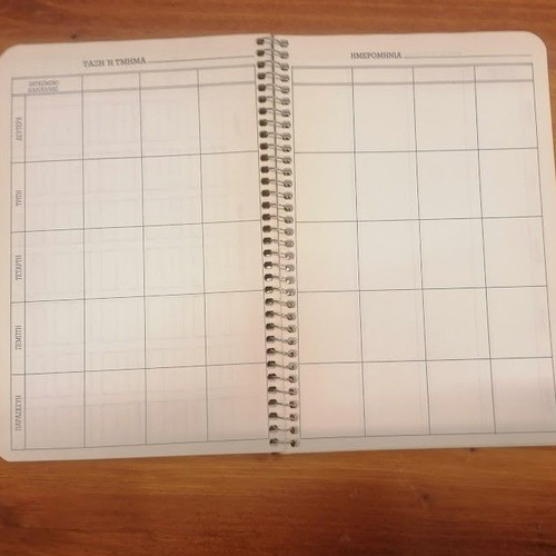 Vintage 80s Globus Grade Book Spiral & Biokart Blue Check Notebook