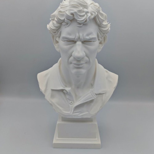 Ayrton Senna bust 3D print new