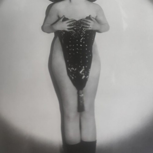 The Pin-Up 1974 book used, with cover stain
