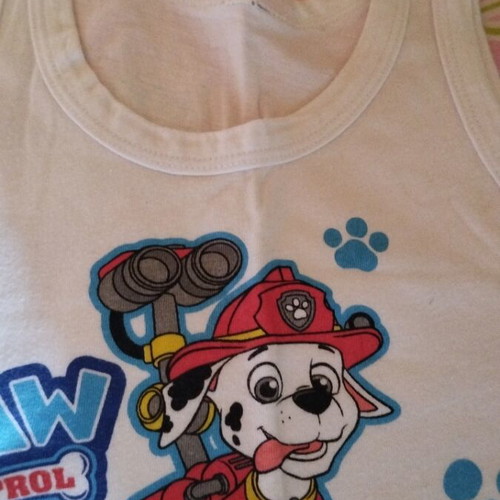 Paw Patrol T-shirt new unworn, white multicolor, for ages 2-4