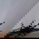  Fighter Jet SB -54