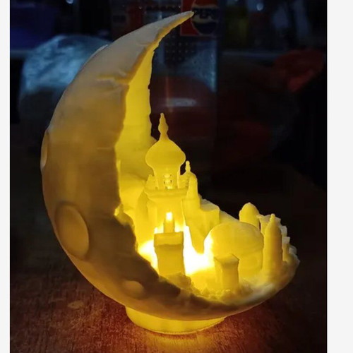 Moon City 3D printed new