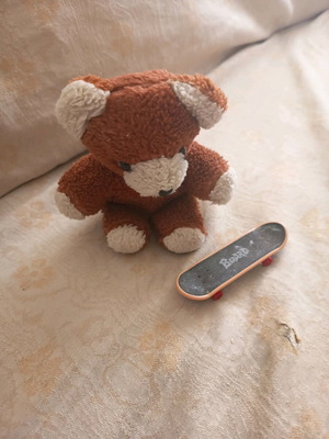 Teddy bear and skateboard used, set of two items