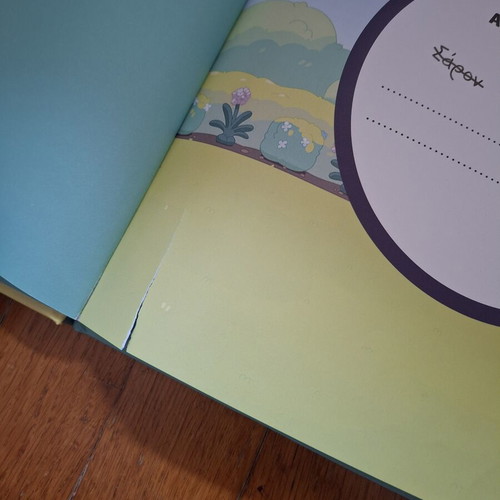 Bluey Kalh Diathesh children's book