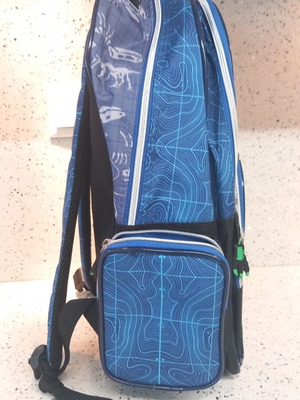 School Backpack with Dinosaur Design new