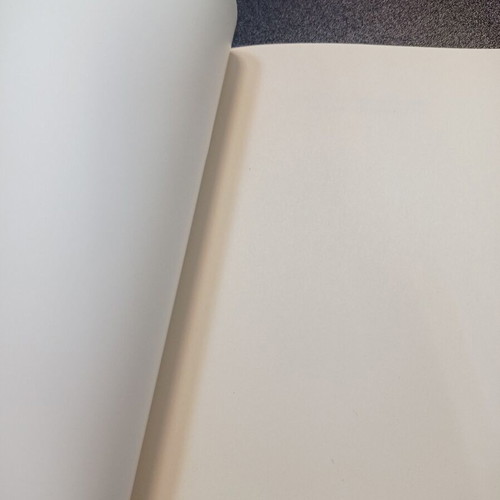 The Trump Phenomenon book like new, Giannis Loulis