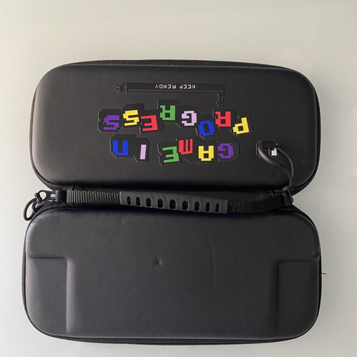 Nintendo Switch carrying case used with 10 game card slots
