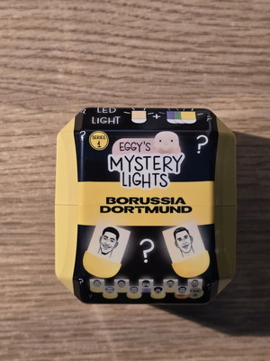 MegaLight Borussia Dortmund Mystery Light keychain, like new