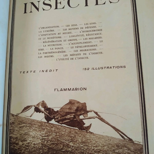 Insectes book by Jean, illustrated, 430 pages, 1950