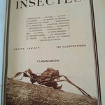 Insectes book by Jean, illustrated, 430 pages, 1950