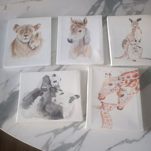 Canvas paintings like new, pack of 5, 20x16cm each